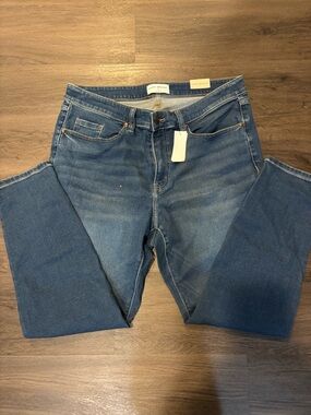 Lane Bryant Straight Leg Jeans in Blue Denim